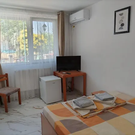 Rene Si Ilinca Pensiune 3*