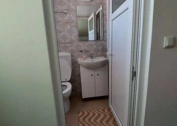 Rene Si Ilinca ゲストハウス