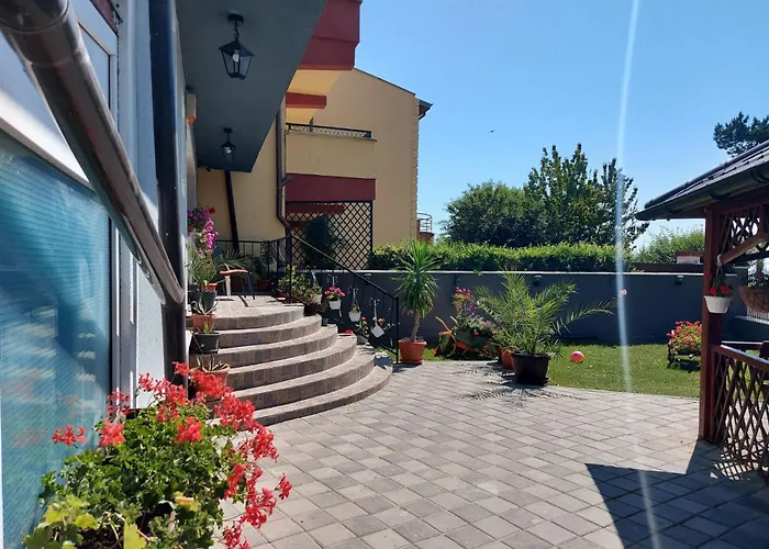 Rene Si Ilinca ゲストハウス