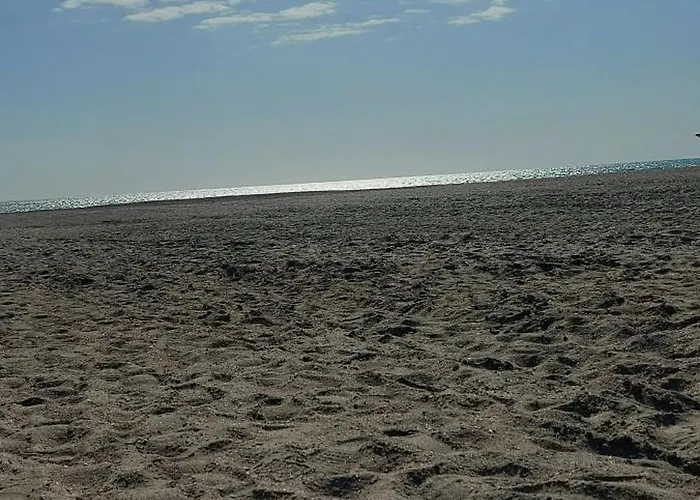 ゲストハウス Rene Si Ilinca エフォリエ・ノルド