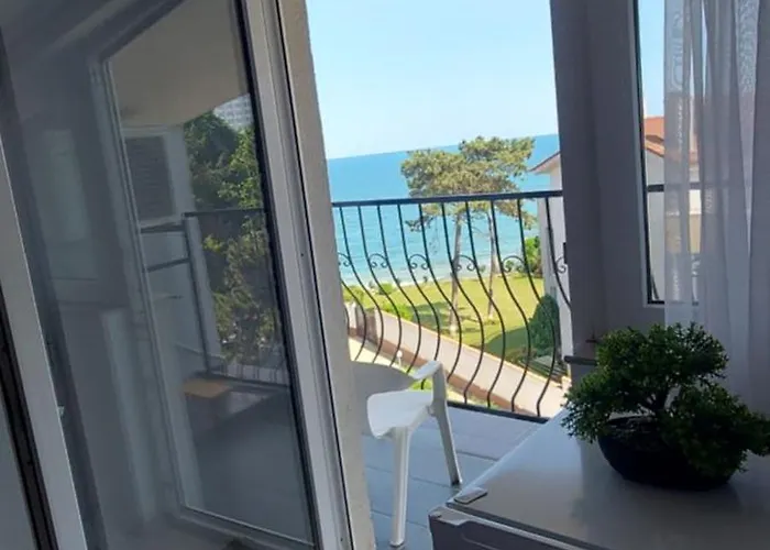 Rene Si Ilinca ゲストハウス