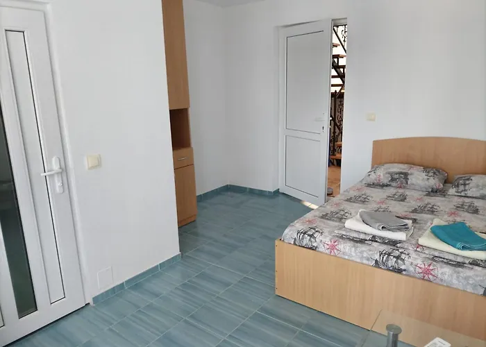 ゲストハウス Rene Si Ilinca エフォリエ・ノルド