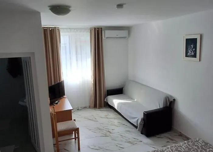 Rene Si Ilinca エフォリエ・ノルド