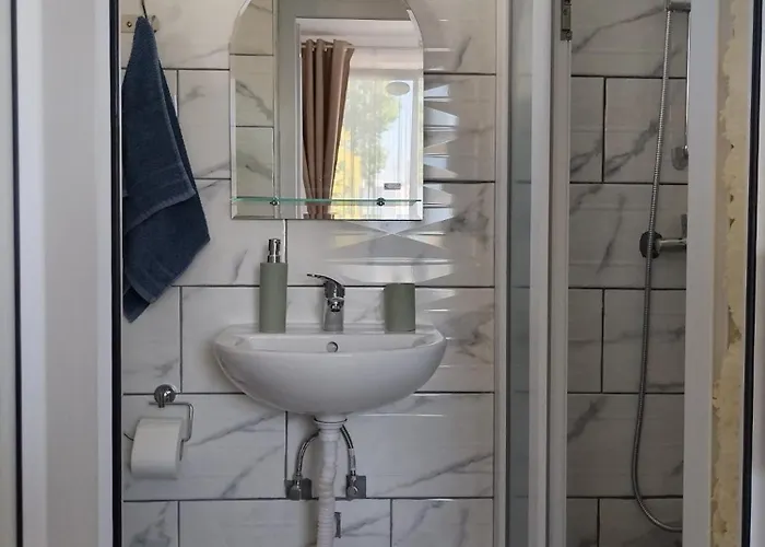 Rene Si Ilinca ゲストハウス エフォリエ・ノルド