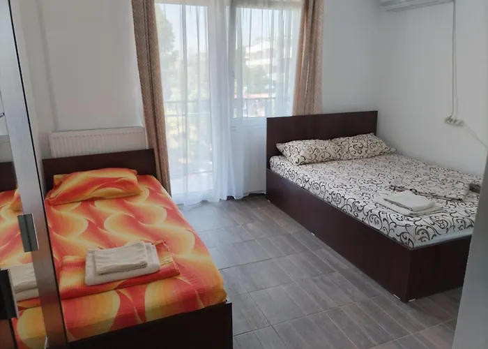 ゲストハウス Rene Si Ilinca エフォリエ・ノルド