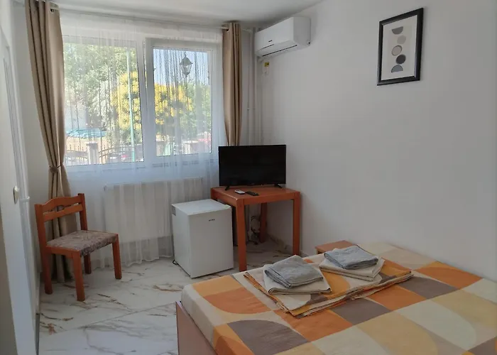 Rene Si Ilinca ゲストハウス 3*